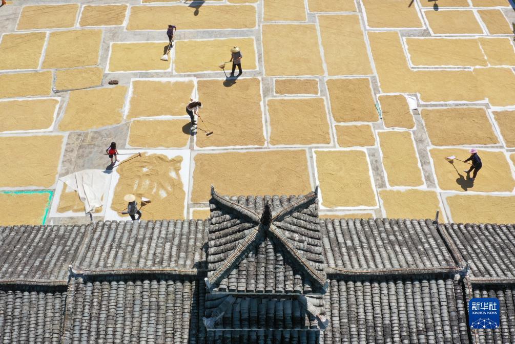 京都棋牌官网